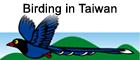 birding in taiwan